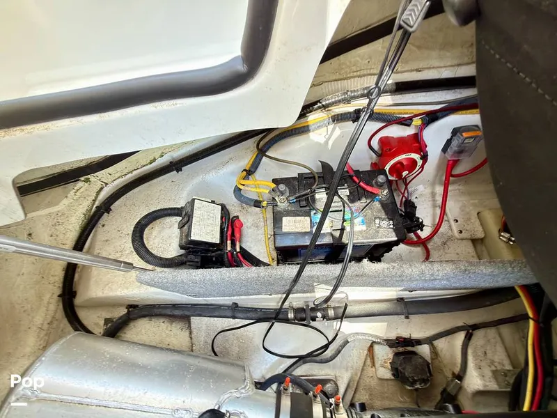 Slide: The Image of Scarab 165 ID 2022 - 16275583