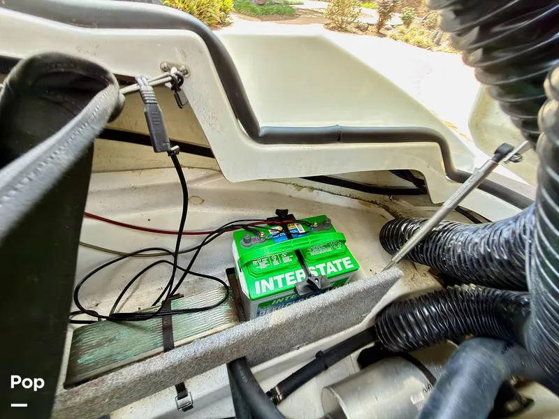 Slide: The Image of Scarab 165 ID 2022 - 16275584