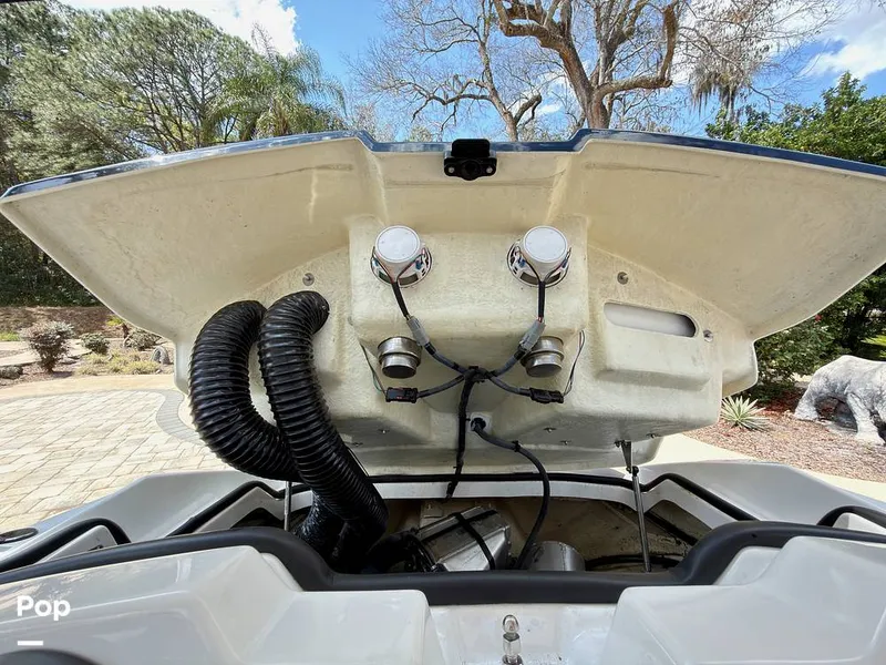 Slide: The Image of Scarab 165 ID 2022 - 16275585