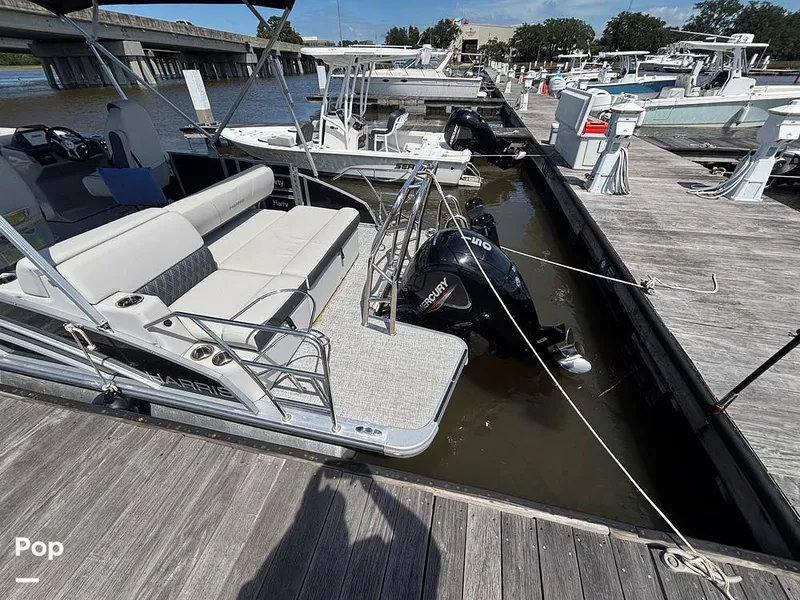 Slide: The Image of Harris Sunliner 230 2025 - 15871990