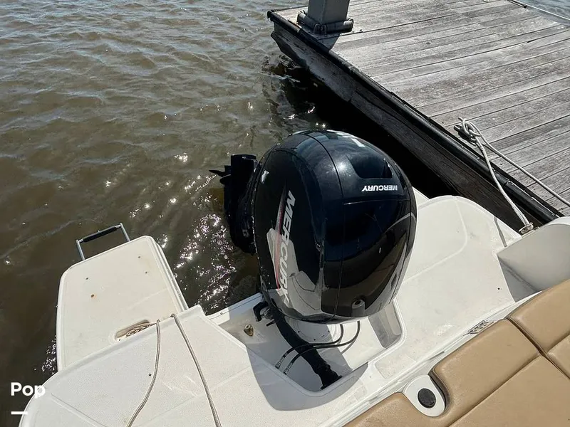 Slide: The Image of Bayliner DX2200 2024 - 15871948