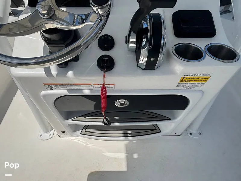 Slide: The Image of Sea Pro 210 Bay 2025 - 15871877