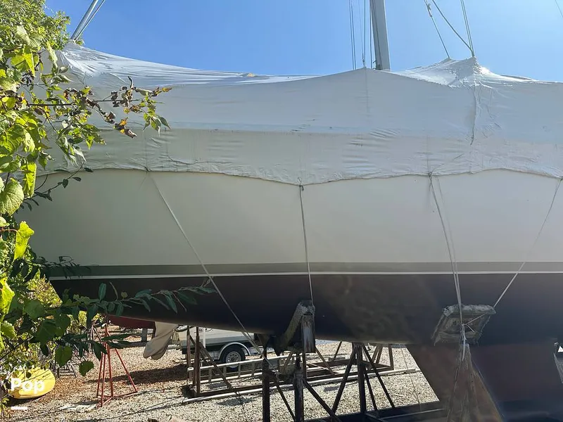 Slide: The Image of Hunter 35.5 1988 - 15897212