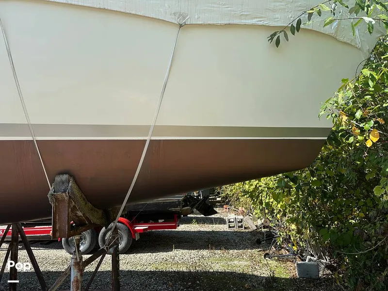 Slide: The Image of Hunter 35.5 1988 - 15897216