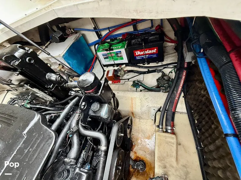 Slide: The Image of Sea Ray 240 Sundancer 2007 - 15872048