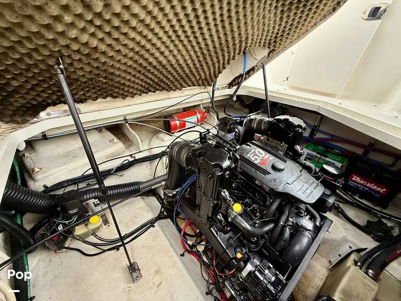 Slide: The Image of Sea Ray 240 Sundancer 2007 - 15872049