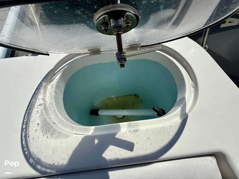 Slide: The Image of Sailfish 220 CC 2016 - 15897284