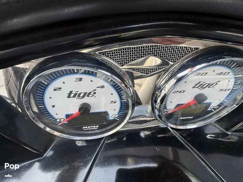 Slide: The Image of Tige Z1 2008 - 16139877