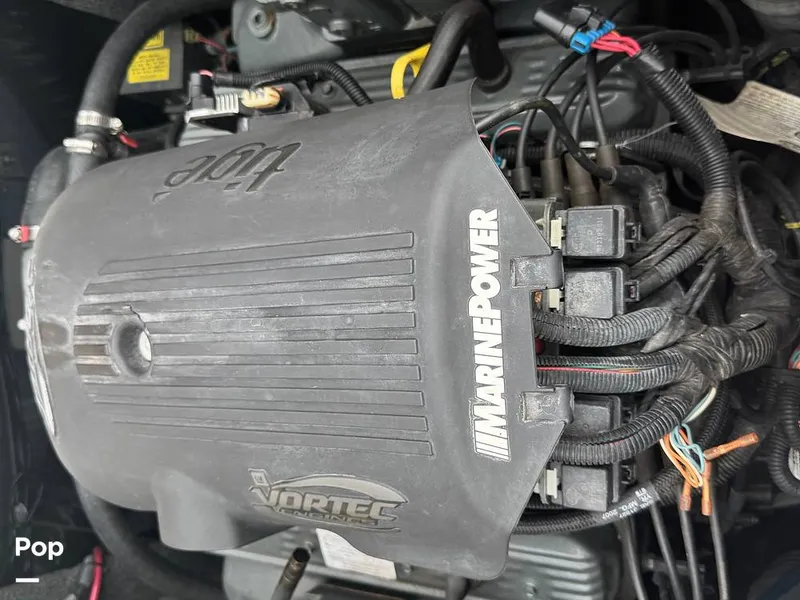 Slide: The Image of Tige Z1 2008 - 16139889