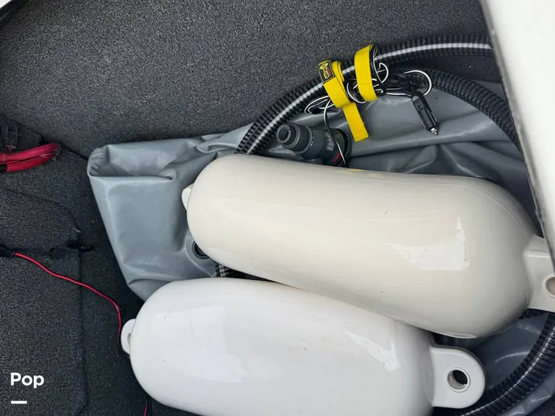 Slide: The Image of Tige Z1 2008 - 16139890