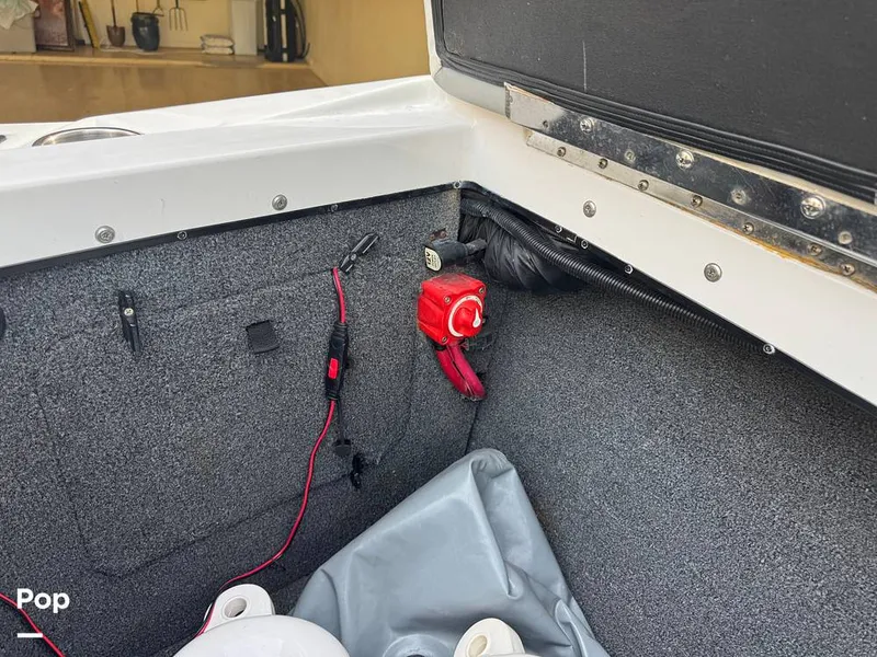 Slide: The Image of Tige Z1 2008 - 16139892