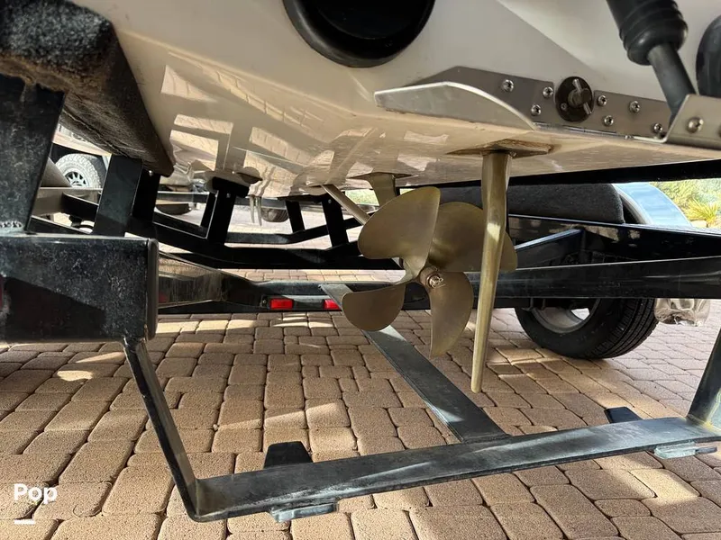 Slide: The Image of Tige Z1 2008 - 16139896