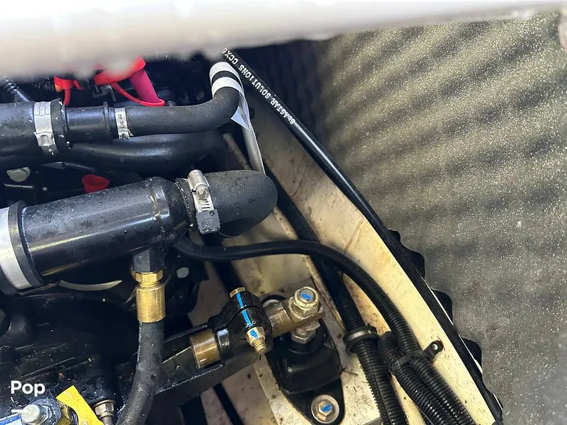 Slide: The Image of Heyday WT-2DC 2023 - 15913987