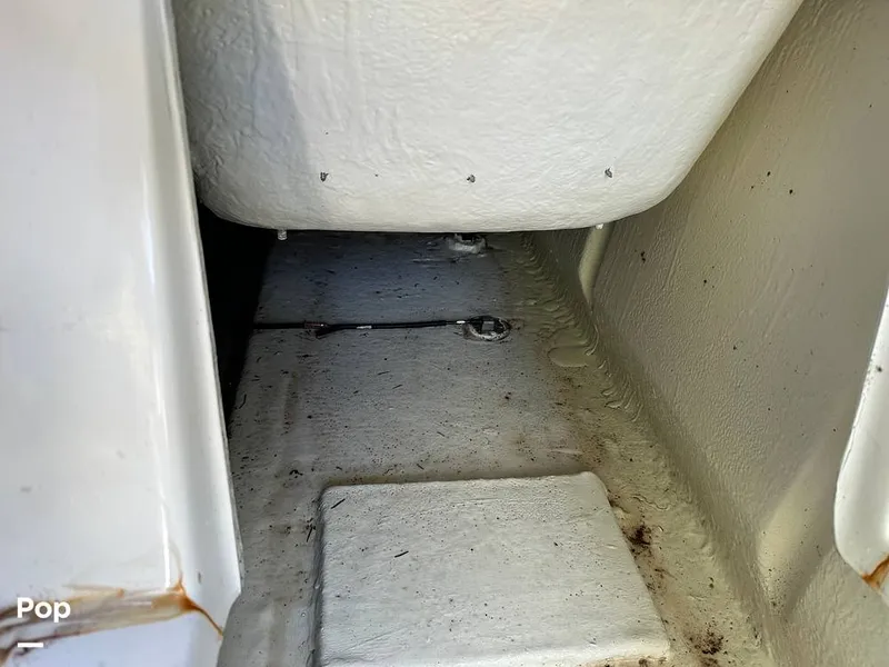 Slide: The Image of Heyday WT-2DC 2023 - 15913994