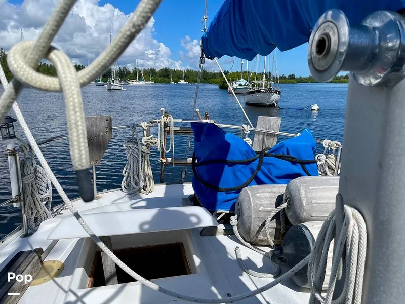 Slide: The Image of Morgan Out Island 415 1979 - 15990046