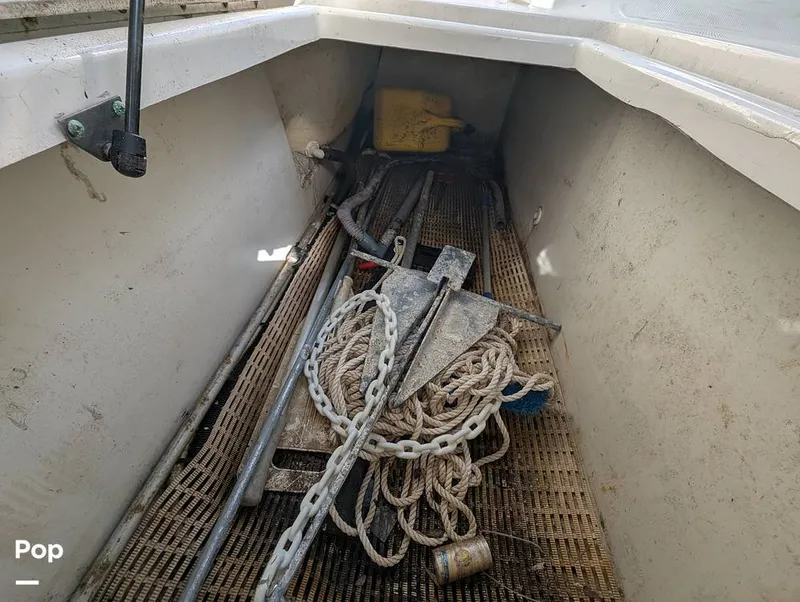 Slide: The Image of Sea Ray 260 Sundeck 2008 - 15916341