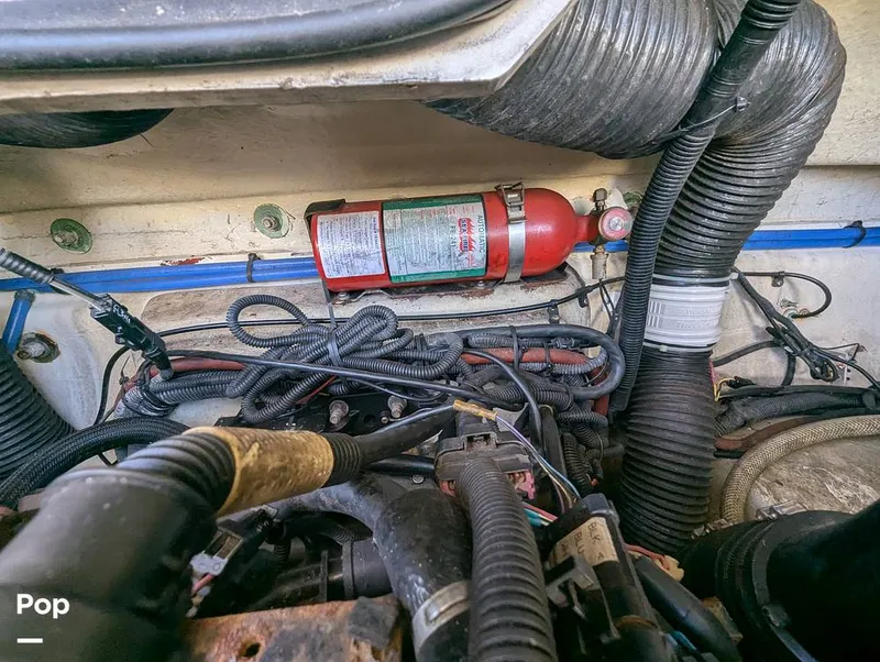 Slide: The Image of Sea Ray 260 Sundeck 2008 - 15916353