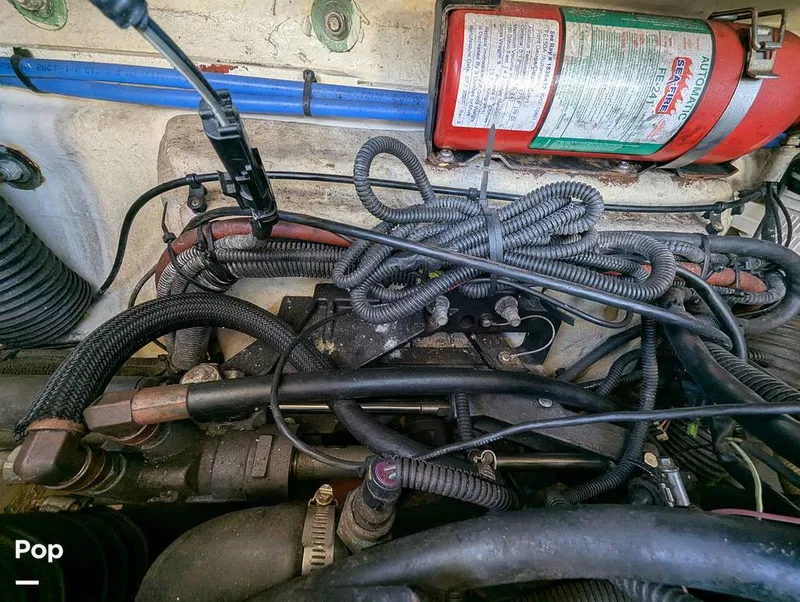 Slide: The Image of Sea Ray 260 Sundeck 2008 - 15916354