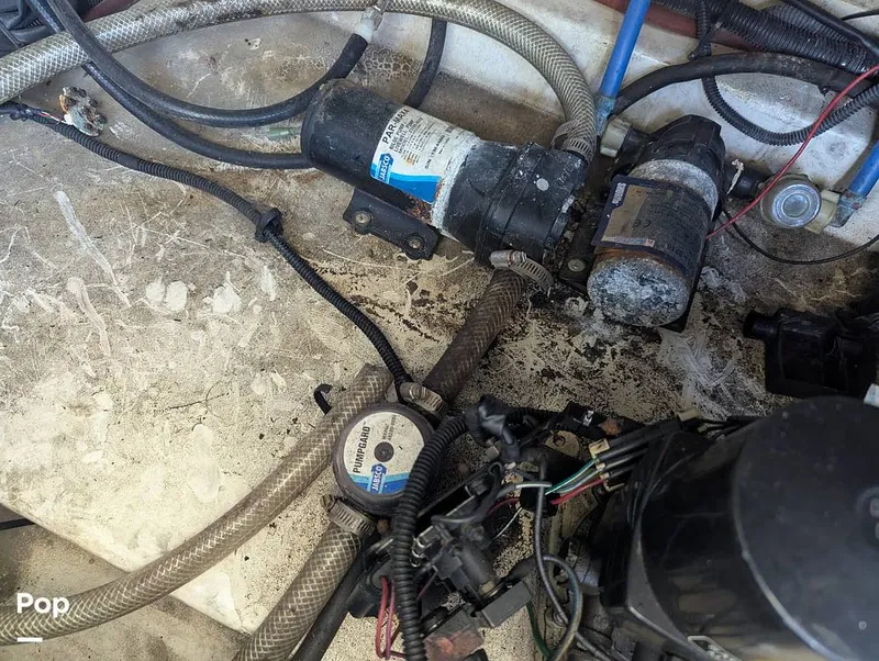 Slide: The Image of Sea Ray 260 Sundeck 2008 - 15916361