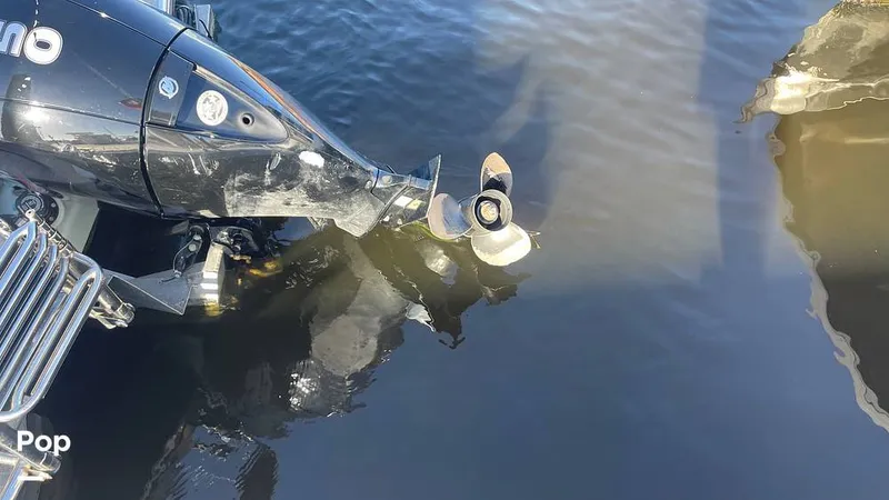 Slide: The Image of Lowe SS 230W 2024 - 15906094