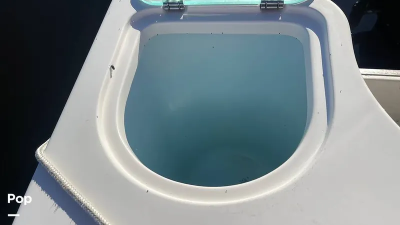 Slide: The Image of Sailfish 242 CC 2023 - 15906050