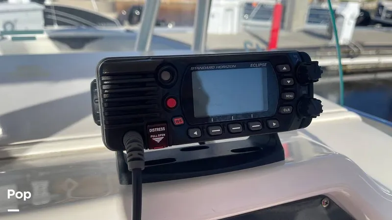 Slide: The Image of Sailfish 242 CC 2023 - 15906065