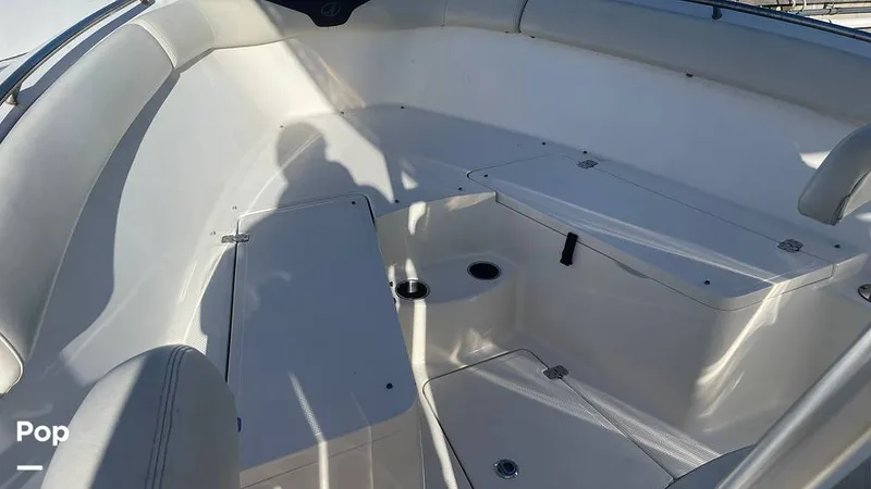 Slide: The Image of Sailfish 242 CC 2023 - 15906068