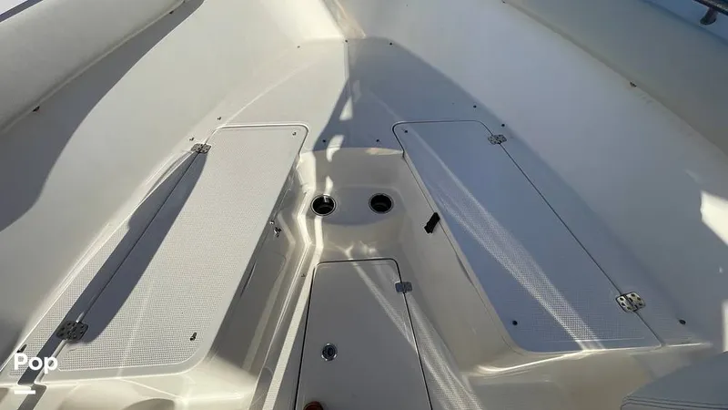 Slide: The Image of Sailfish 242 CC 2023 - 15906072