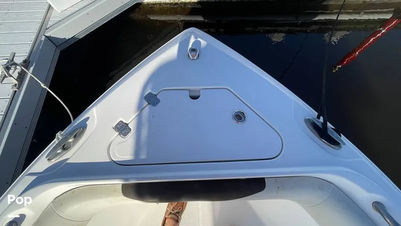 Slide: The Image of Sailfish 242 CC 2023 - 15906076