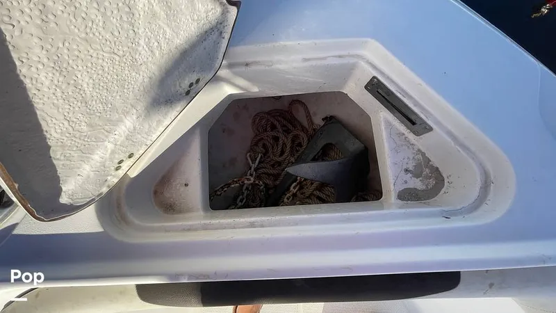 Slide: The Image of Sailfish 242 CC 2023 - 15906075