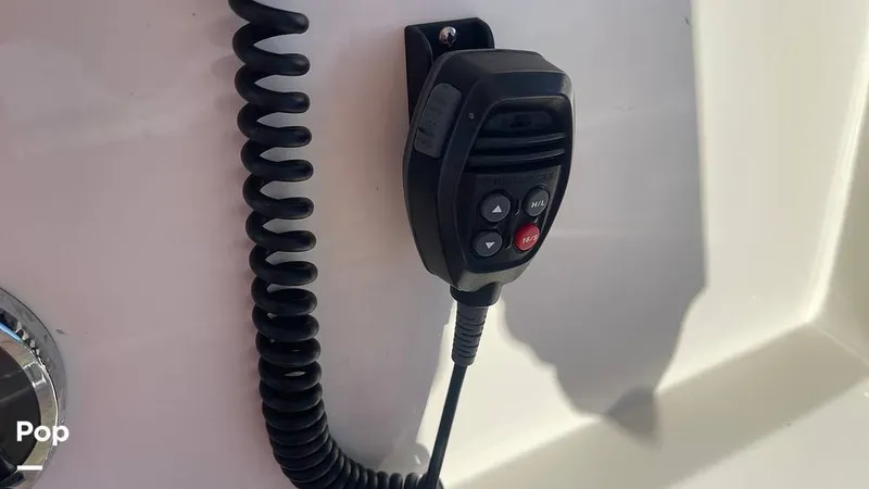 Slide: The Image of Sailfish 242 CC 2023 - 15906087