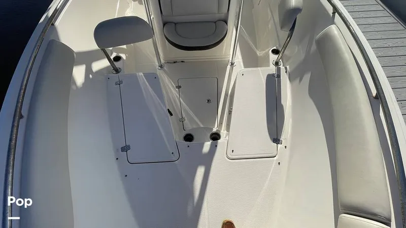 Slide: The Image of Sailfish 242 CC 2023 - 15906077