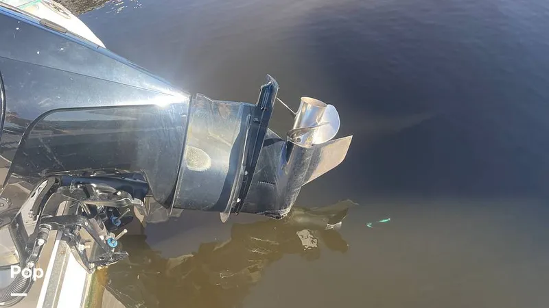 Slide: The Image of Sailfish 242 CC 2023 - 15906033