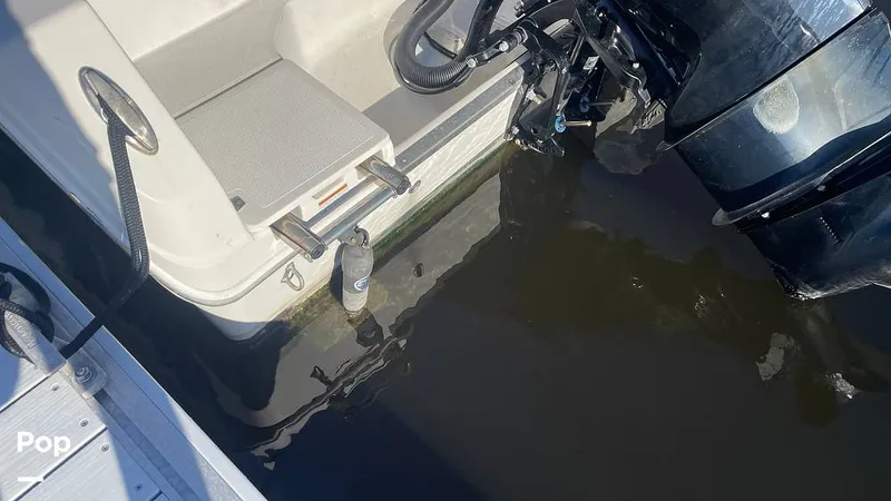 Slide: The Image of Sailfish 242 CC 2023 - 15906034