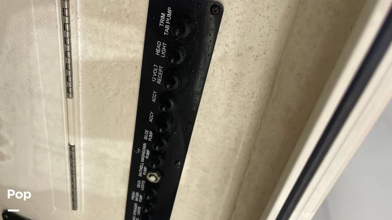 Slide: The Image of Sailfish 242 CC 2023 - 15906046