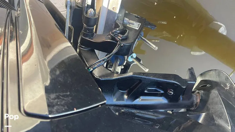 Slide: The Image of Sailfish 242 CC 2023 - 15906052