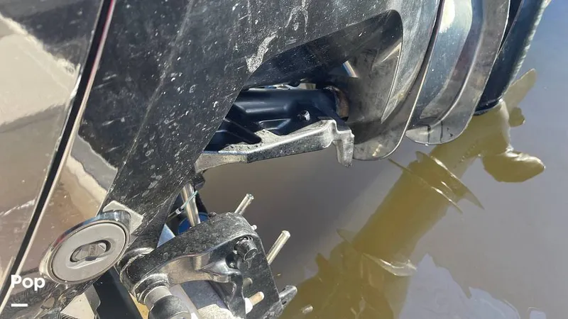 Slide: The Image of Sailfish 242 CC 2023 - 15906054