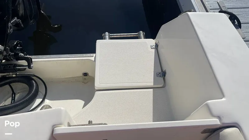 Slide: The Image of Sailfish 242 CC 2023 - 15906056