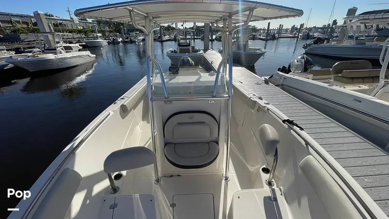 Slide: The Image of Sailfish 242 CC 2023 - 15906078