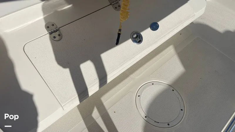 Slide: The Image of Sailfish 242 CC 2023 - 15906059