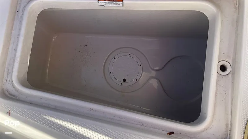 Slide: The Image of Sailfish 242 CC 2023 - 15906070