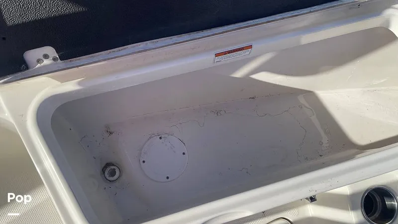 Slide: The Image of Sailfish 242 CC 2023 - 15906071