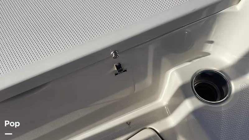 Slide: The Image of Sailfish 242 CC 2023 - 15906073