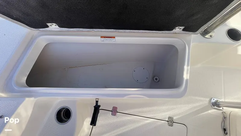 Slide: The Image of Sailfish 242 CC 2023 - 15906074