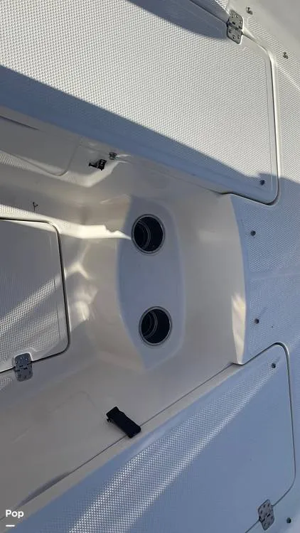 Slide: The Image of Sailfish 242 CC 2023 - 15906081