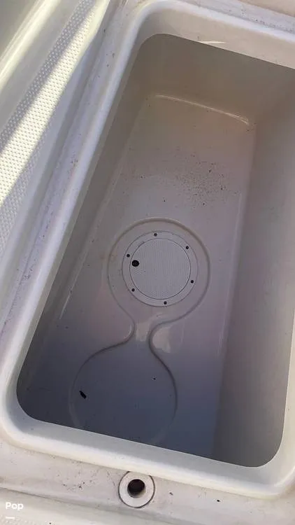 Slide: The Image of Sailfish 242 CC 2023 - 15906082