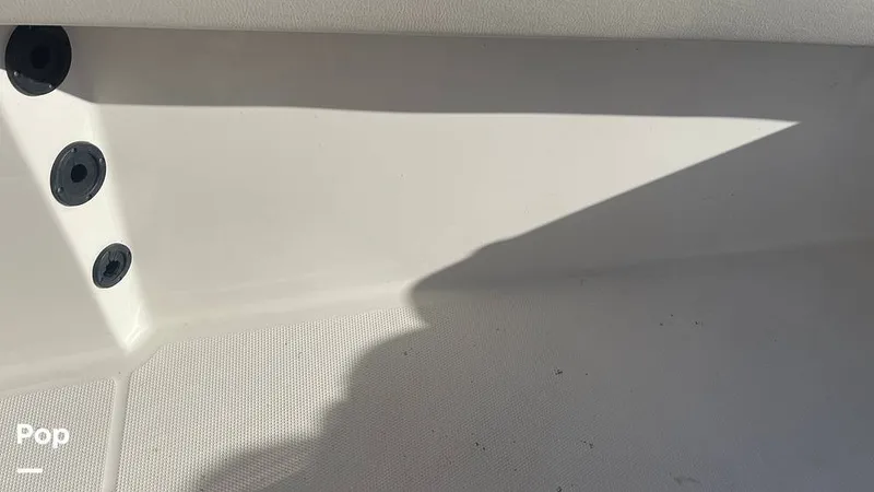 Slide: The Image of Sailfish 242 CC 2023 - 15906089