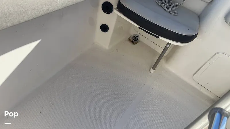 Slide: The Image of Sailfish 242 CC 2023 - 15906090