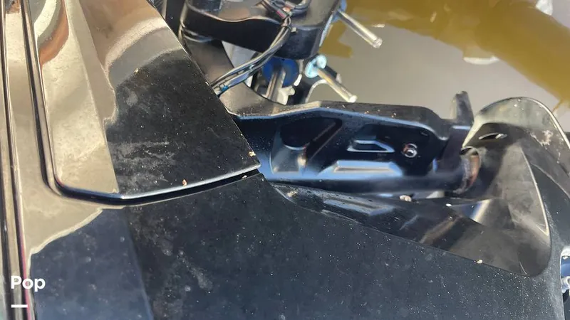 Slide: The Image of Sailfish 242 CC 2023 - 15906053