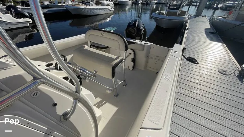 Slide: The Image of Sailfish 242 CC 2023 - 15906043